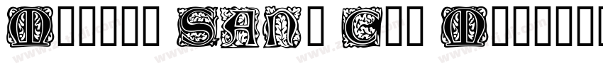 Morris Sans Com Medi字体转换